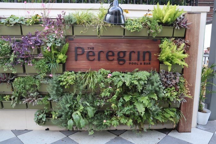 The Peregrin Rooftop Pool and Bar @ The Perry Lane Hotel Savannah