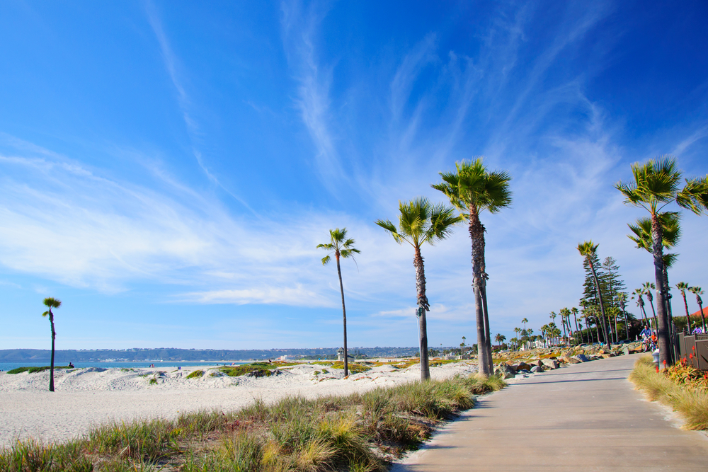 Plan Your Bachelorette Party in San Diego
