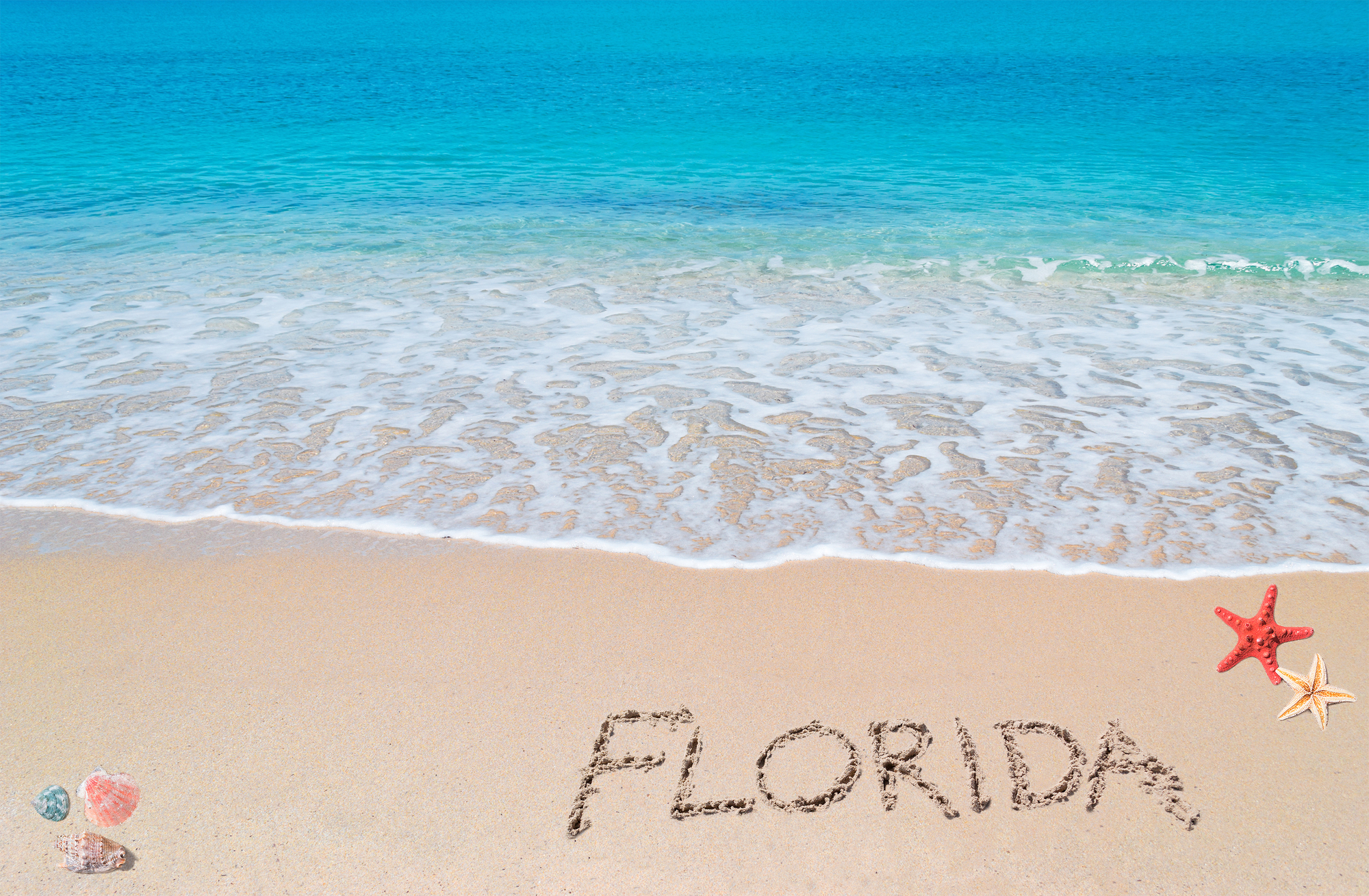 8 Best Florida Bachelorette Party Destinations (2026 Guide)