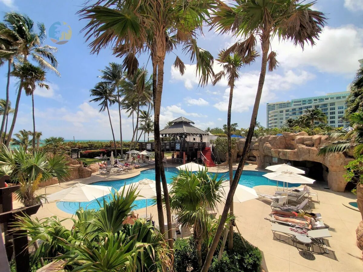 Tropical pool deck with palm trees in Miami Beach